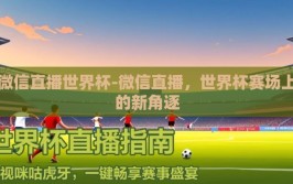 微信直播世界杯-微信直播，世界杯赛场上的新角逐