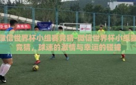 微信世界杯小组赛竞猜-微信世界杯小组赛竞猜，球迷的激情与幸运的碰撞
