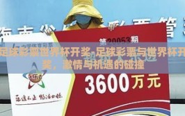 足球彩票世界杯开奖-足球彩票与世界杯开奖，激情与机遇的碰撞