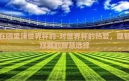 在哪里赌世界杯的-对世界杯的热爱，理智观赛的智慧选择