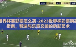 世界杯赛彩票怎么买-2023世界杯彩票购买指南，智选与乐章交响的购彩艺术