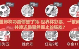 世界杯彩票停售了吗-世界杯彩票，一夜间井喷还是戛然而止的狂欢？