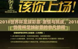 2018世界杯足球彩票-激情与挑战，2018世界杯足球彩票的非凡旅程