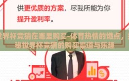 世界杯竞猜在哪里购买-体育热情的燃点，揭秘世界杯竞猜的购买渠道与乐趣