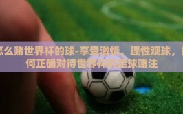 怎么赌世界杯的球-享受激情，理性观球，如何正确对待世界杯的足球赌注