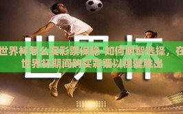 世界杯怎么买彩票保稳-如何明智选择，在世界杯期间购买彩票以稳健胜出