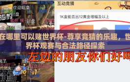 在哪里可以赌世界杯-尊享竞猜的乐趣，世界杯观赛与合法路径探索