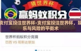 支付宝投注世界杯-支付宝投注世界杯，娱乐与风险的平衡术