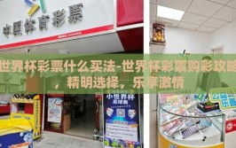 世界杯彩票什么买法-世界杯彩票购彩攻略，精明选择，乐享激情