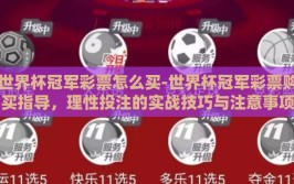 世界杯冠军彩票怎么买-世界杯冠军彩票购买指导，理性投注的实战技巧与注意事项