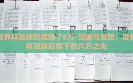 世界杯足球彩票输了6万-沉迷与反思，世界杯足球彩票下的六万之失