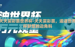 天天买彩票世界杯-天天买彩票，追逐世界杯梦想的边角料