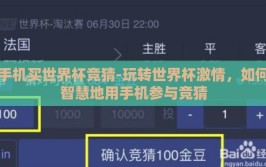 手机买世界杯竞猜-玩转世界杯激情，如何智慧地用手机参与竞猜