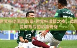 世界杯德国赢彩票-世界杯激情之夜，德国赢球背后的彩票奇缘