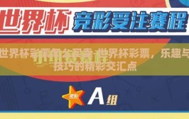 世界杯彩票怎么买卖-世界杯彩票，乐趣与技巧的精彩交汇点
