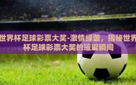 世界杯足球彩票大奖-激情绿茵，揭秘世界杯足球彩票大奖的璀璨瞬间
