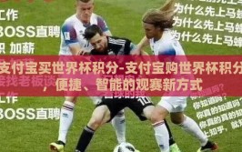 支付宝买世界杯积分-支付宝购世界杯积分，便捷、智能的观赛新方式