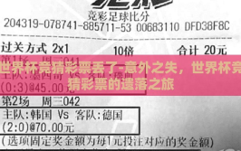 世界杯竞猜彩票丢了-意外之失，世界杯竞猜彩票的遗落之旅