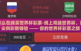 怎么在线买世界杯彩票-线上观战世界杯，指尖购彩新体验 —— 你的世界杯彩票之旅