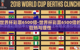 世界杯彩票6500倍-世界杯彩票6500倍的狂热与理性
