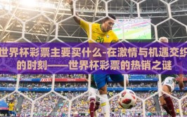 世界杯彩票主要买什么-在激情与机遇交织的时刻——世界杯彩票的热销之谜
