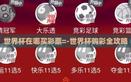 世界杯在哪买彩票=-世界杯购彩全攻略