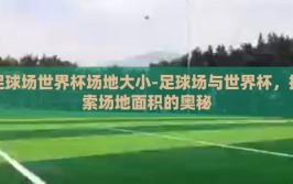 足球场世界杯场地大小-足球场与世界杯，探索场地面积的奥秘