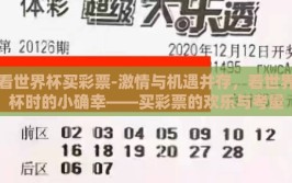 看世界杯买彩票-激情与机遇并存，看世界杯时的小确幸——买彩票的欢乐与考量