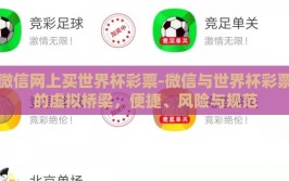 微信网上买世界杯彩票-微信与世界杯彩票的虚拟桥梁，便捷、风险与规范