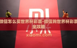 微信怎么买世界杯彩票-微信购世界杯彩票全攻略