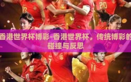 香港世界杯博彩-香港世界杯，传统博彩的碰撞与反思