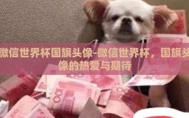 微信世界杯国旗头像-微信世界杯，国旗头像的热爱与期待