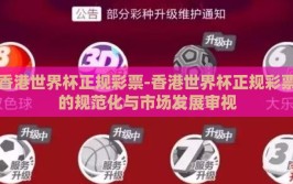 香港世界杯正规彩票-香港世界杯正规彩票的规范化与市场发展审视