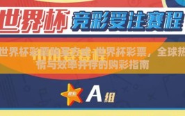 世界杯彩票购买方式-世界杯彩票，全球热情与效率并存的购彩指南