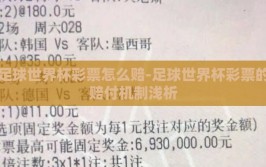 足球世界杯彩票怎么赔-足球世界杯彩票的赔付机制浅析