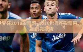 世界杯2018彩票网-2018世界杯彩票网，幸运的竞技场