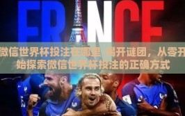 微信世界杯投注在哪里-揭开谜团，从零开始探索微信世界杯投注的正确方式