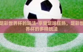 足彩世界杯的玩法-享受足球狂热，足彩世界杯的多样玩法