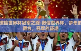 微信世界杯冠军之路-微信世界杯，梦想的舞台，冠军的征途