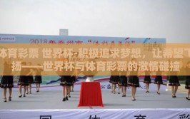 体育彩票 世界杯-积极追求梦想，让希望飞扬——世界杯与体育彩票的激情碰撞