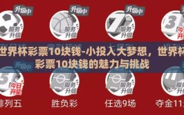 世界杯彩票10块钱-小投入大梦想，世界杯彩票10块钱的魅力与挑战