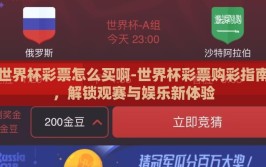 世界杯彩票怎么买啊-世界杯彩票购彩指南，解锁观赛与娱乐新体验