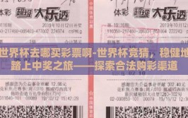 世界杯去哪买彩票啊-世界杯竞猜，稳健地踏上中奖之旅——探索合法购彩渠道