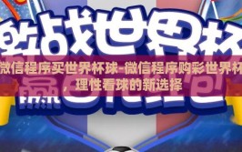 微信程序买世界杯球-微信程序购彩世界杯，理性看球的新选择