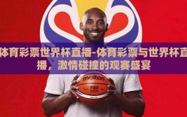 体育彩票世界杯直播-体育彩票与世界杯直播，激情碰撞的观赛盛宴