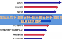 在哪里能下注世界杯-探索世界杯下注的合法与智慧路径