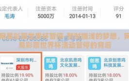 网易彩票世界杯暂停-暂时搁浅的梦想，网易彩票世界杯活动暂停的背后