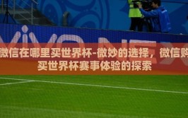微信在哪里买世界杯-微妙的选择，微信购买世界杯赛事体验的探索