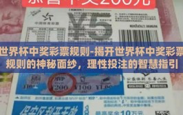 世界杯中奖彩票规则-揭开世界杯中奖彩票规则的神秘面纱，理性投注的智慧指引
