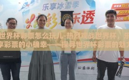世界杯彩票怎么玩儿-热烈观战世界杯，乐享彩票的小确幸——探寻世界杯彩票的魅力与玩法